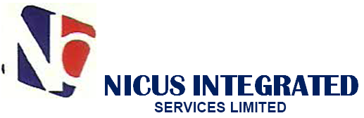Nicus Logo